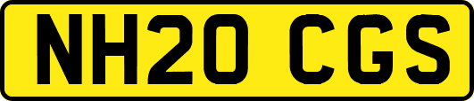 NH20CGS