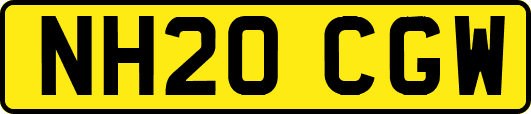 NH20CGW