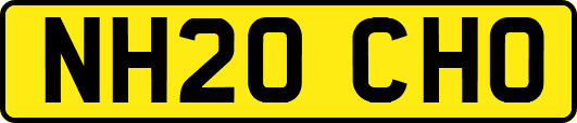 NH20CHO
