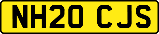 NH20CJS