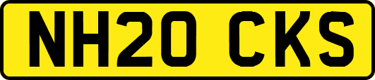 NH20CKS