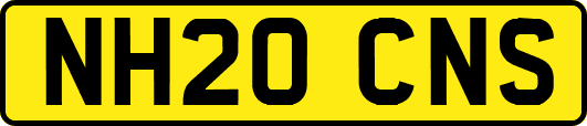 NH20CNS