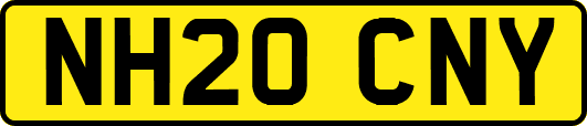 NH20CNY