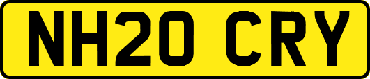 NH20CRY