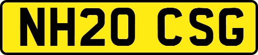NH20CSG
