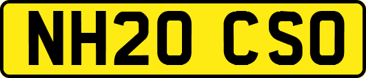NH20CSO