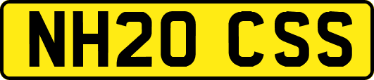 NH20CSS
