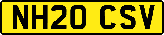 NH20CSV
