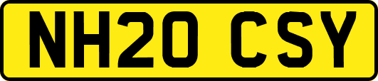 NH20CSY