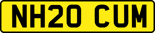 NH20CUM
