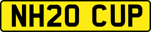 NH20CUP