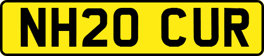 NH20CUR