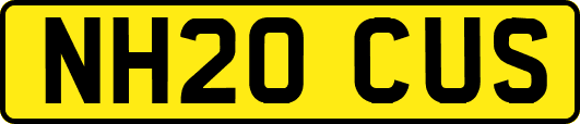 NH20CUS