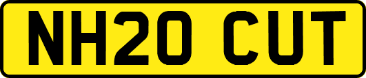 NH20CUT