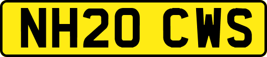 NH20CWS
