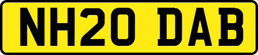 NH20DAB