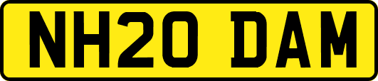 NH20DAM
