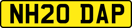 NH20DAP