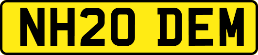 NH20DEM
