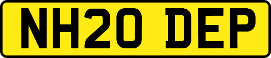 NH20DEP