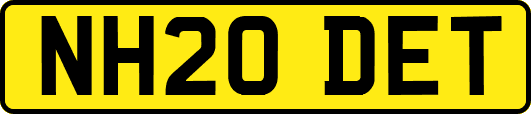 NH20DET