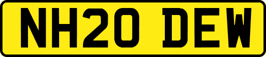NH20DEW
