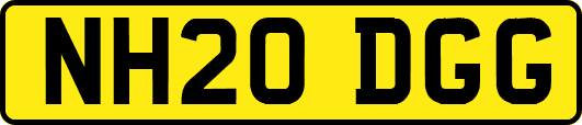 NH20DGG