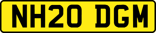 NH20DGM