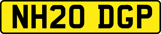NH20DGP