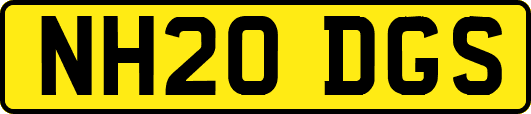 NH20DGS