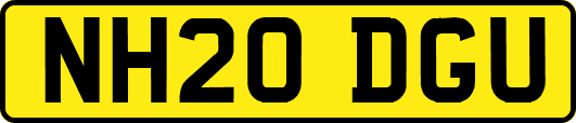 NH20DGU