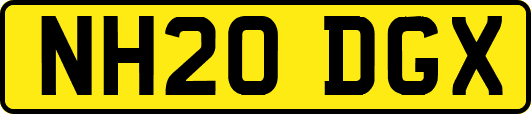 NH20DGX