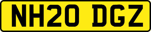 NH20DGZ