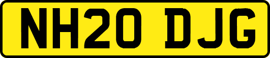 NH20DJG