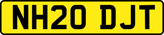 NH20DJT