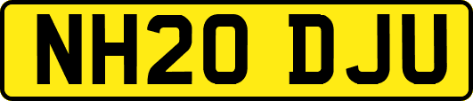 NH20DJU