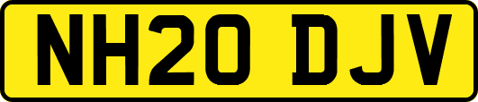 NH20DJV