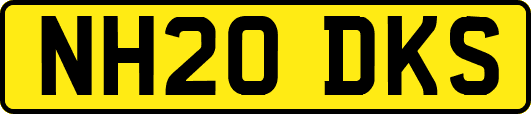 NH20DKS
