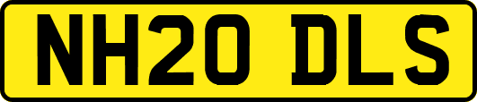 NH20DLS