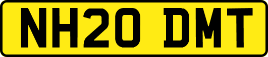 NH20DMT