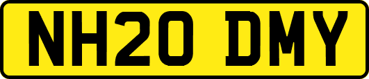 NH20DMY