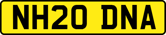 NH20DNA