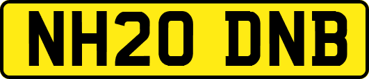 NH20DNB