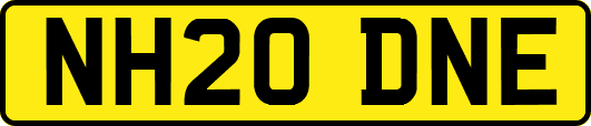 NH20DNE