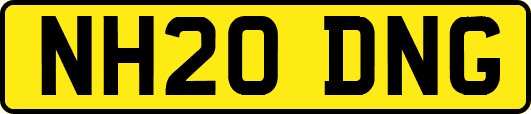 NH20DNG