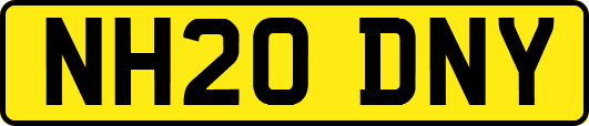 NH20DNY