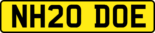 NH20DOE