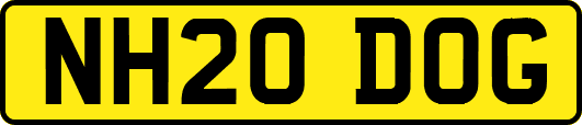 NH20DOG