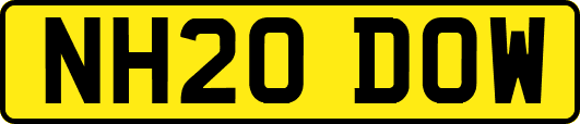 NH20DOW