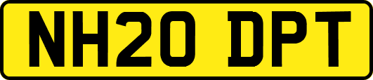 NH20DPT